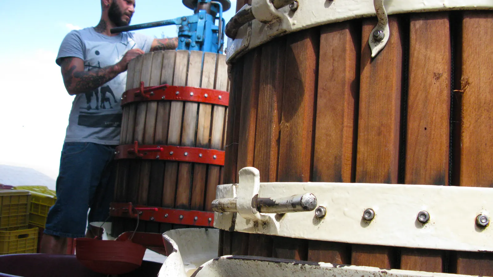 Il lavoro al torchio durante la vendemmia, all'aperto